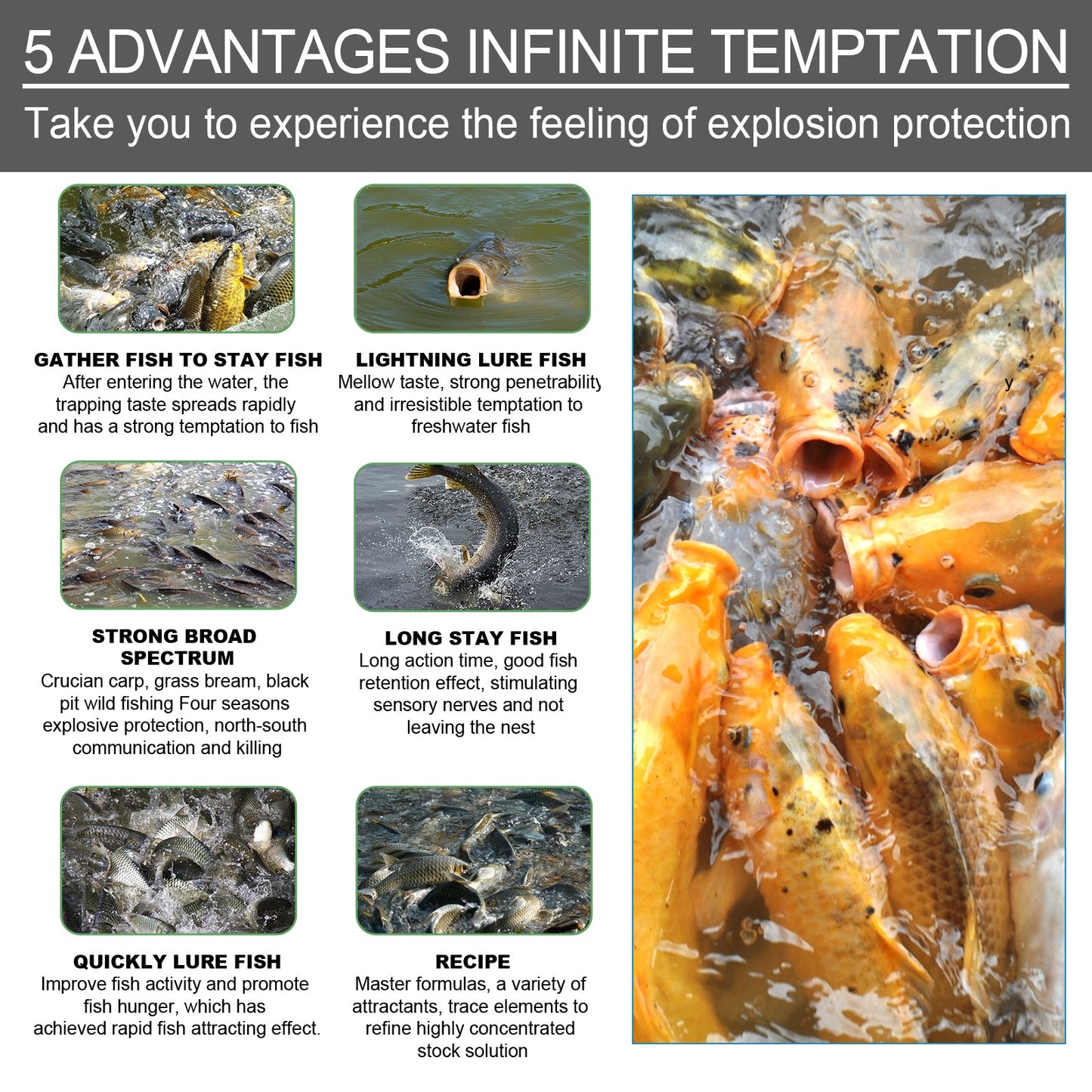Bait Attractant, Reservoir Bait Fishing Bait Fish Portable Fish Primer - DivineLink1 | Electronics, Fitness, Household Essentials | Shop