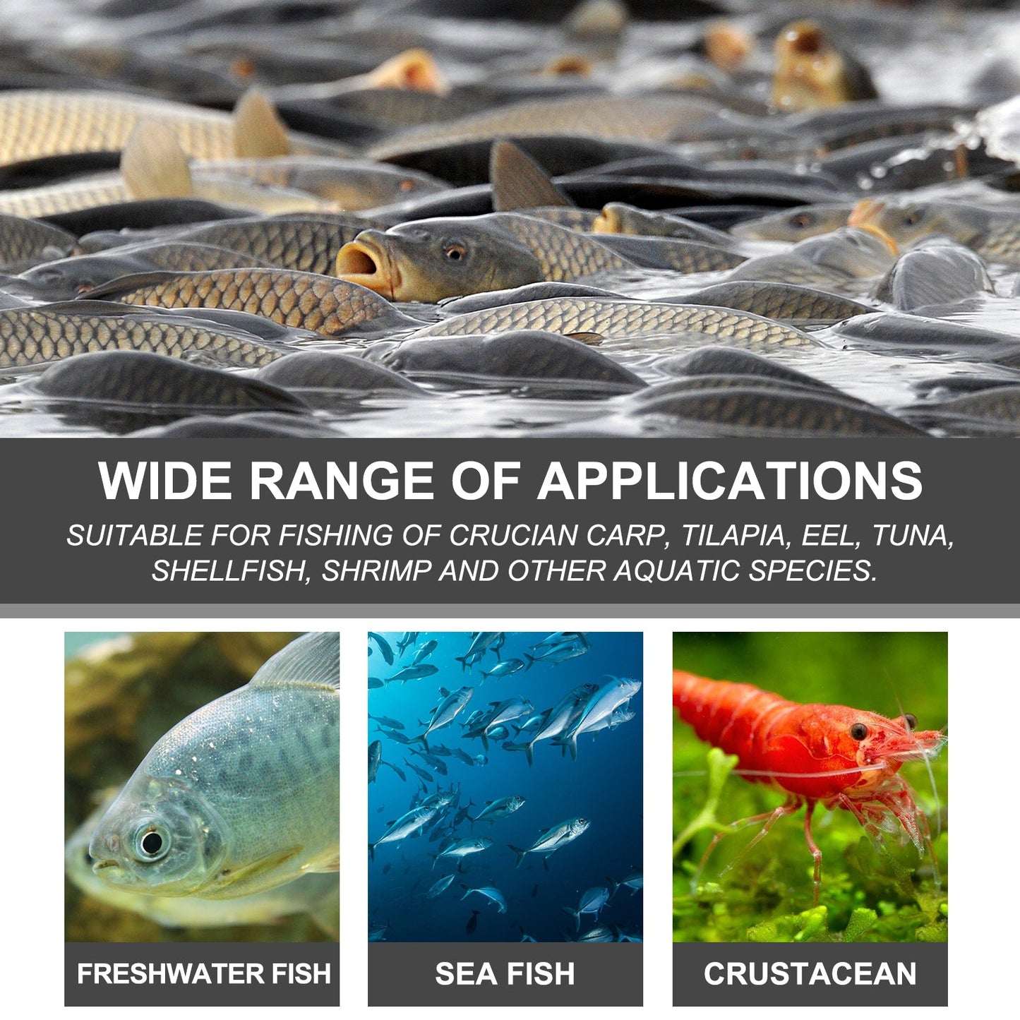 Bait Attractant, Reservoir Bait Fishing Bait Fish Portable Fish Primer - DivineLink1 | Electronics, Fitness, Household Essentials | Shop
