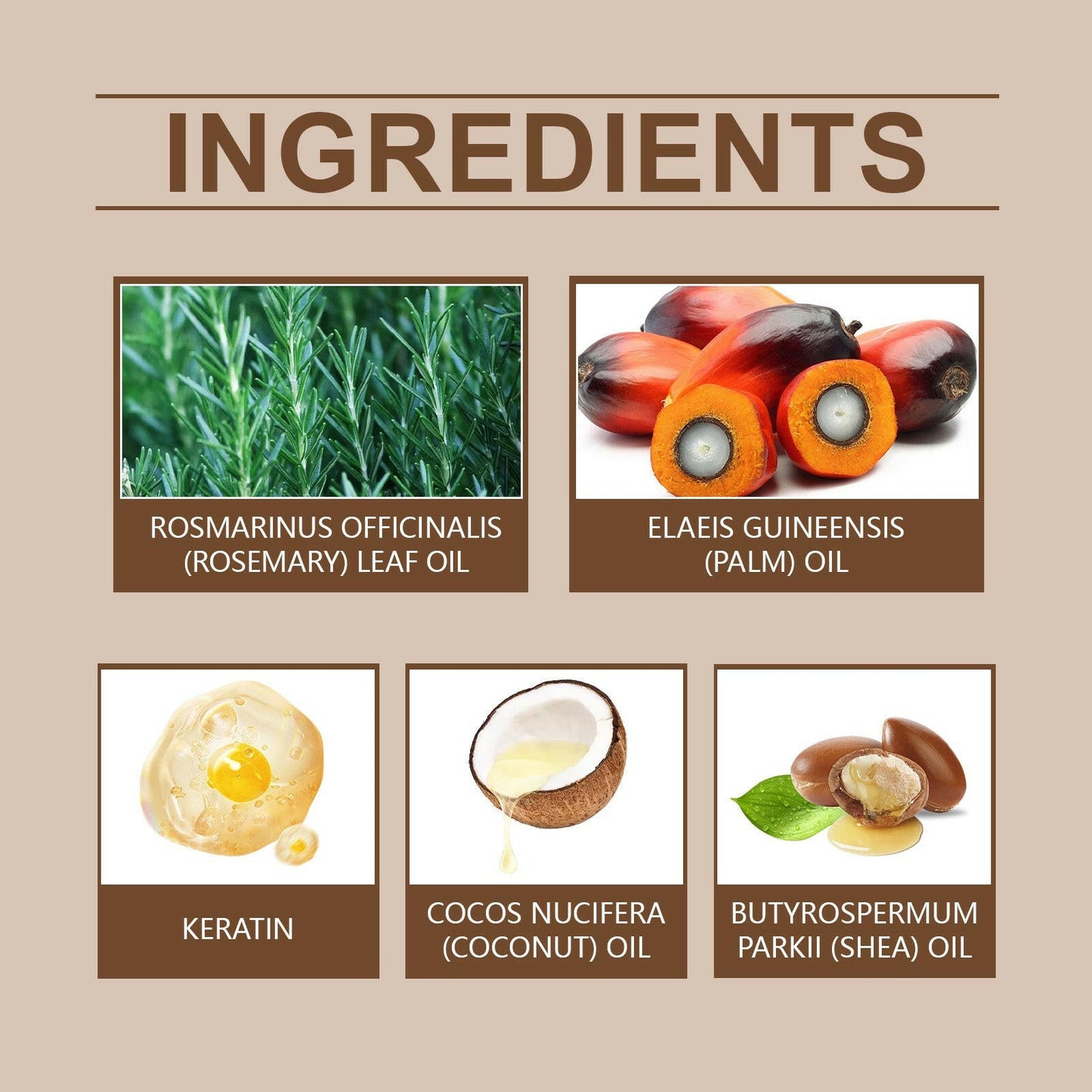 Batana Essential Oil Moisturizes Hair, Fluffs Hair Roots, Strengthens And Strengthens Hair Essential Oil - DivineLink1 | Electronics, Fitness, Household Essentials | Shop