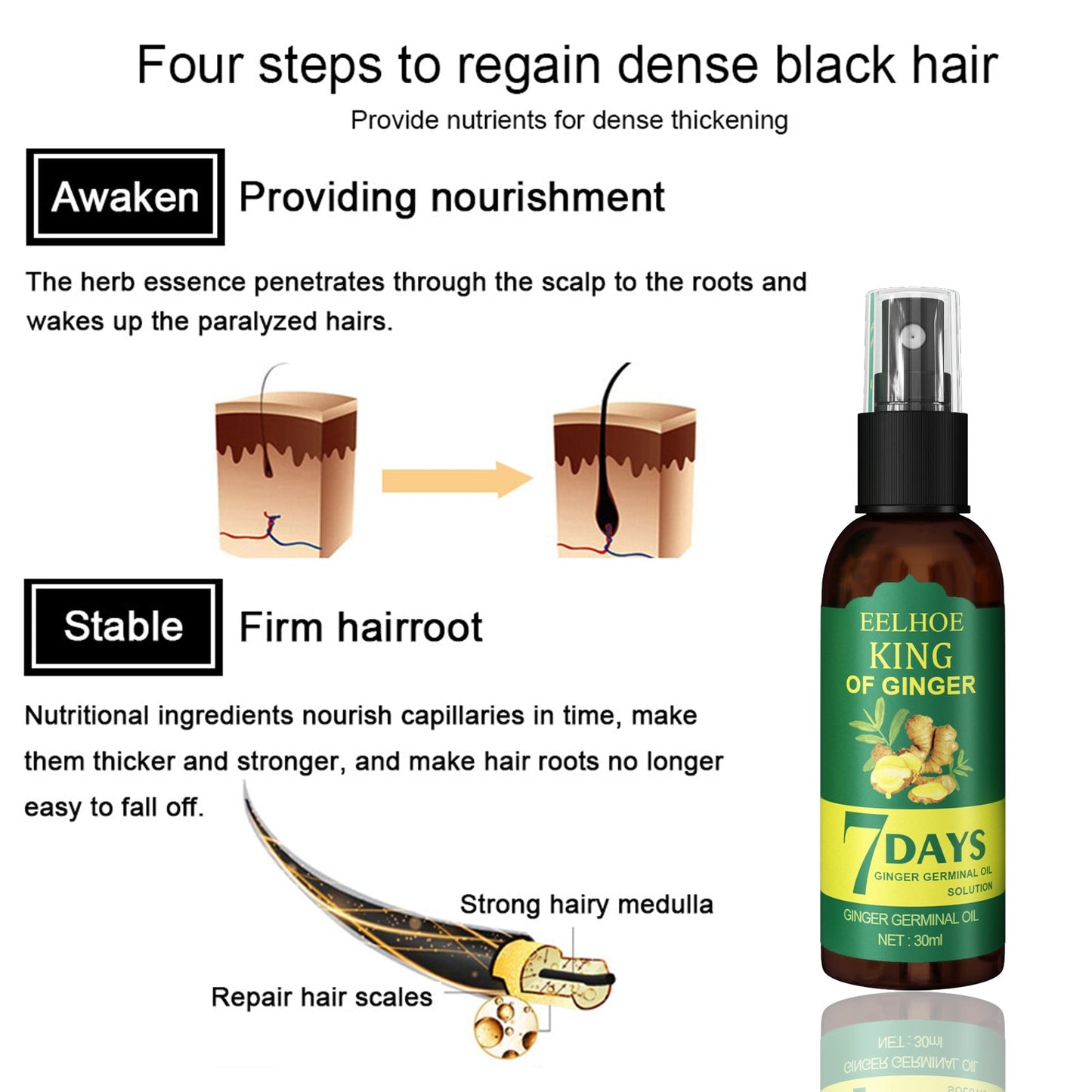 EEL Ginger Hair Spray, Strengthens Hair, Massages Scalp And Restores Hair - DivineLink1 | Electronics, Fitness, Household Essentials | Shop