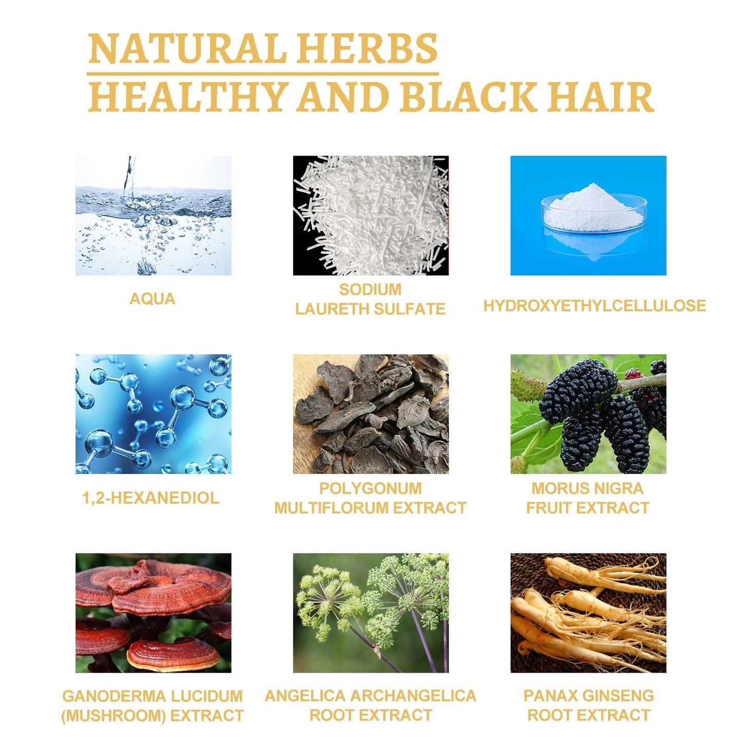 Black Ganoderma Lucidum White Black Black Hair Nourishing Hair Nourishing Hair Moisturizing Hair Repair Massage Essence - DivineLink1 | Electronics, Fitness, Household Essentials | Shop