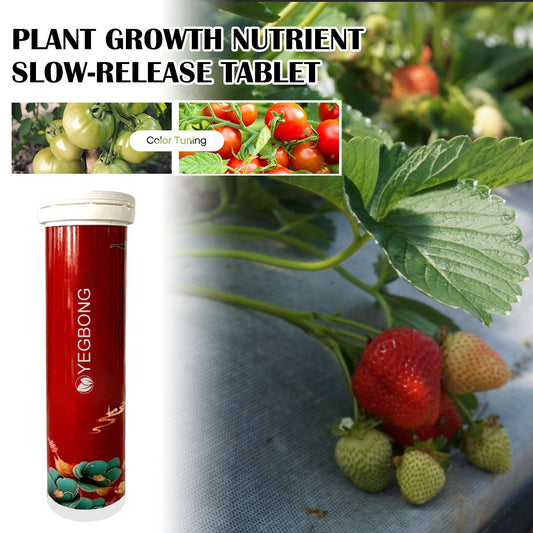 Plant Growth Nutrition Sustained - Release Tablet, Fruit And Vegetable Plant Pot Root Growth Universal Nutrition Tablet - DivineLink1 | Electronics, Fitness, Household Essentials | Shop